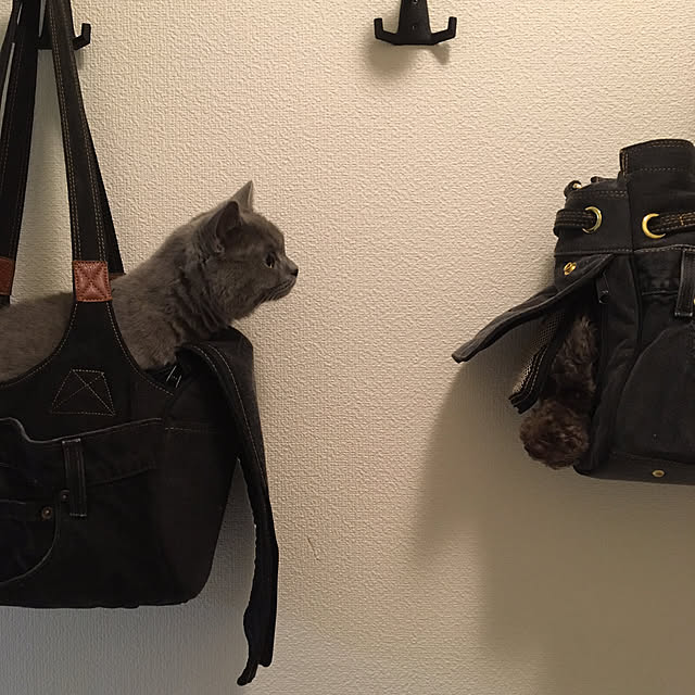 fionaさんの実例写真