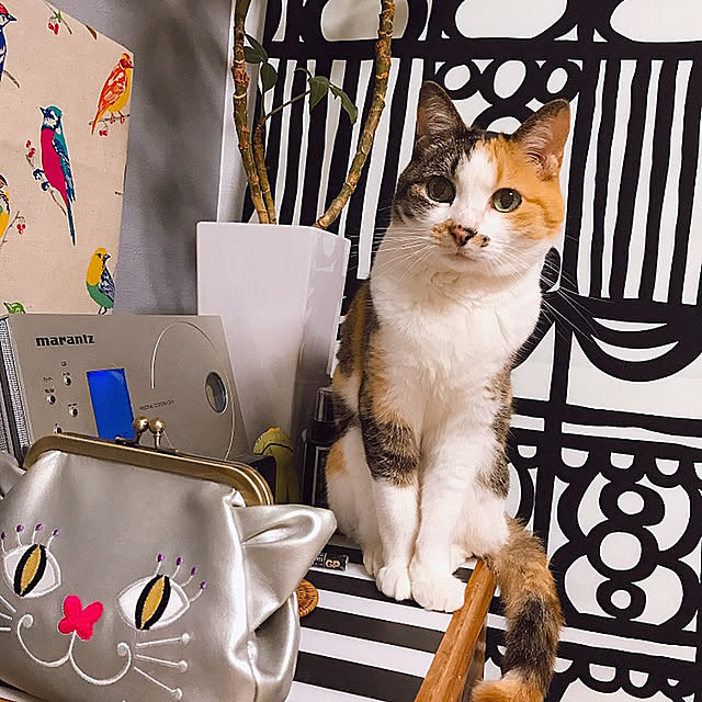 nyanko-beamさんの実例写真