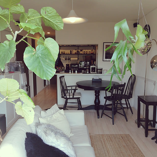 coco.Apartmanさんの実例写真