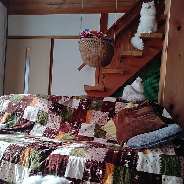 makaronさんの実例写真