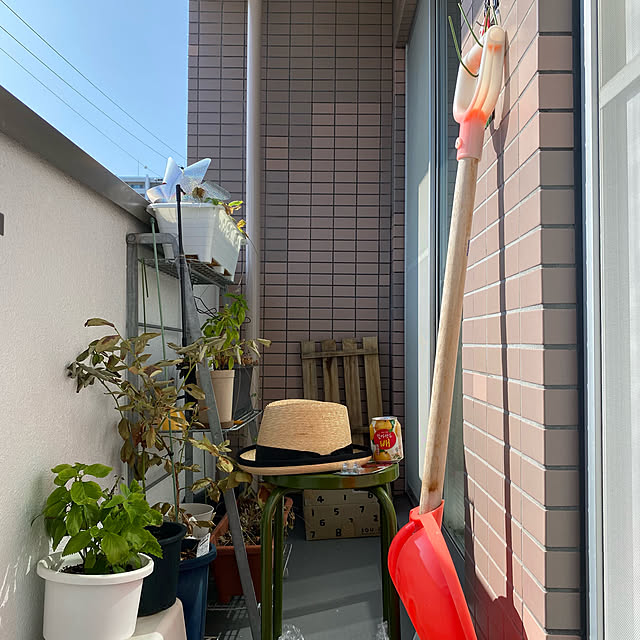 coroさんの実例写真