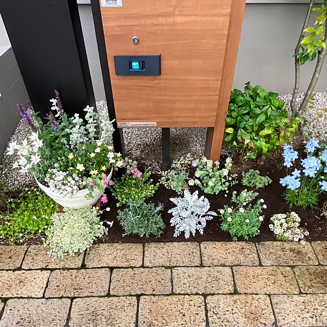 実例写真