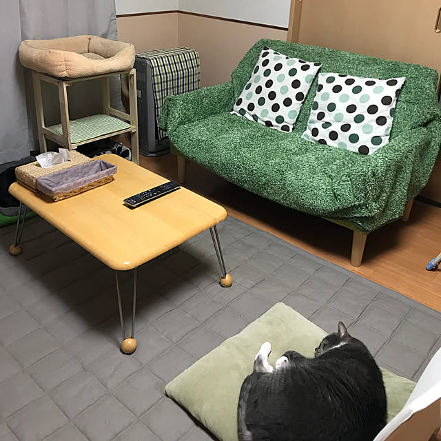 Machikoさんの実例写真
