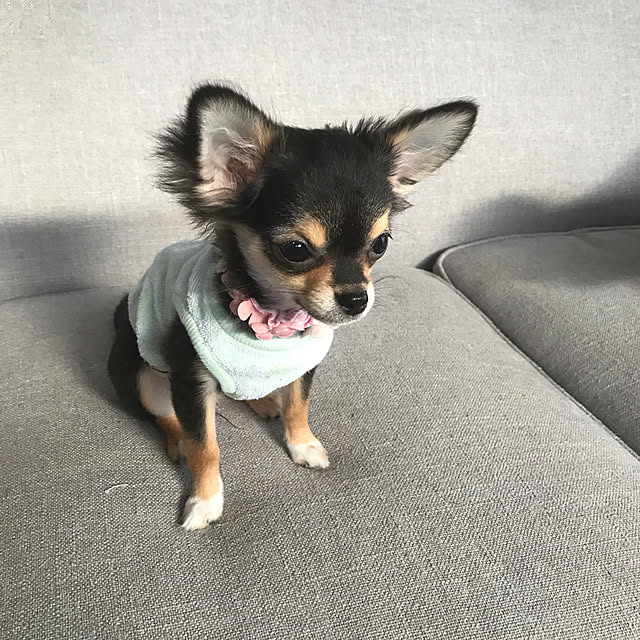 cureさんの実例写真