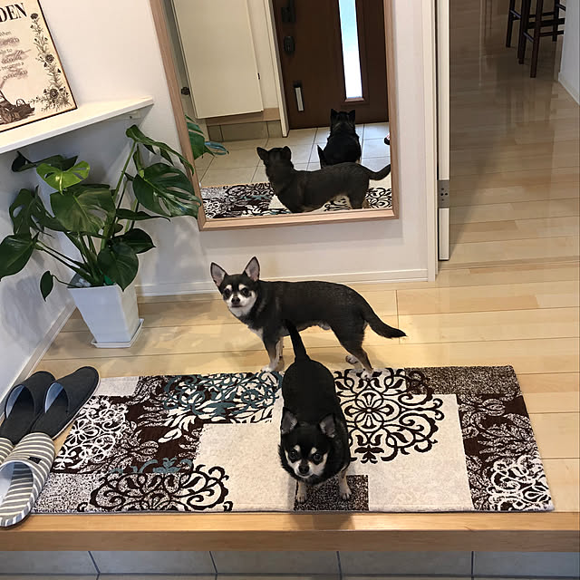 YMZKさんの実例写真