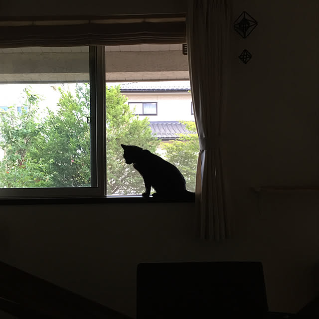 nanaさんの実例写真