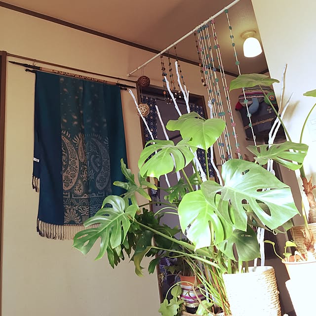 Norikoさんの実例写真