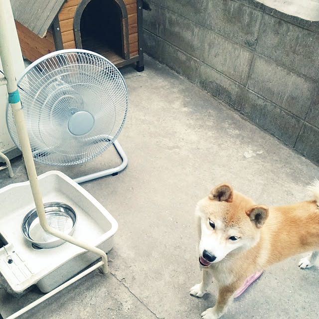 fruityanさんの実例写真