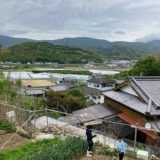 koshiregutyoさんの実例写真