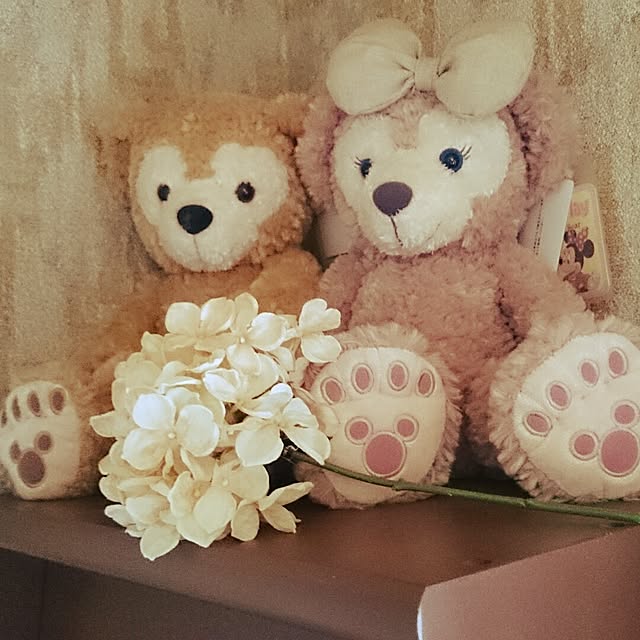 syachiさんの実例写真
