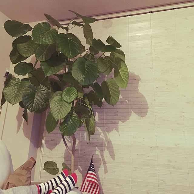 mayaya085さんの実例写真