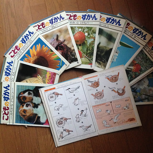 aoinokimiさんの実例写真