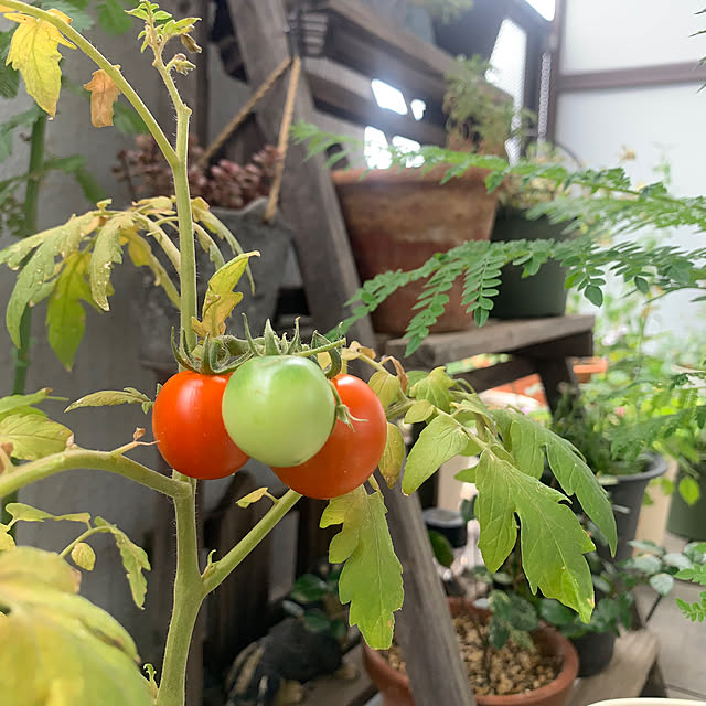 JUNさんの部屋