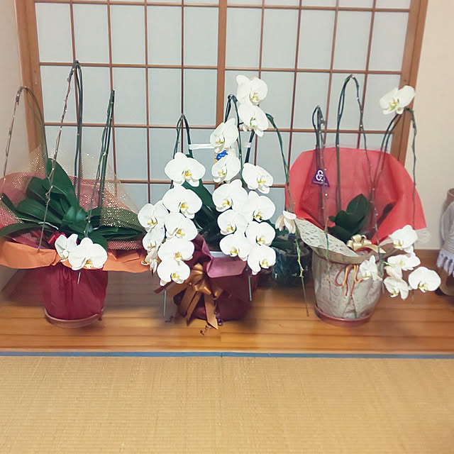 yumiyumiさんの実例写真