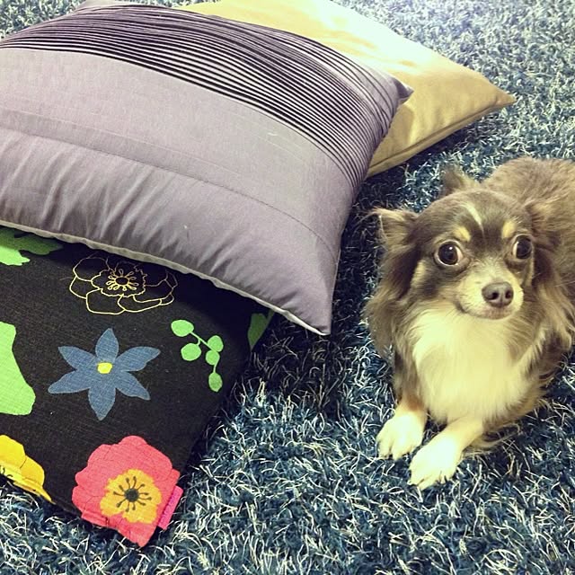 mainappleさんの実例写真