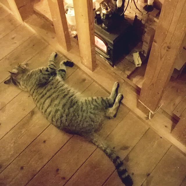 Maki-nekomamireさんの実例写真