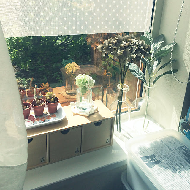 shimoamさんの実例写真