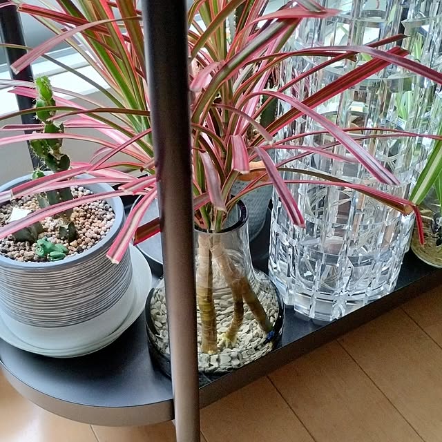 jinさんの部屋