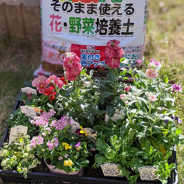 FF001さんの実例写真