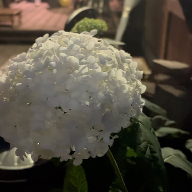kozakura10さんの部屋