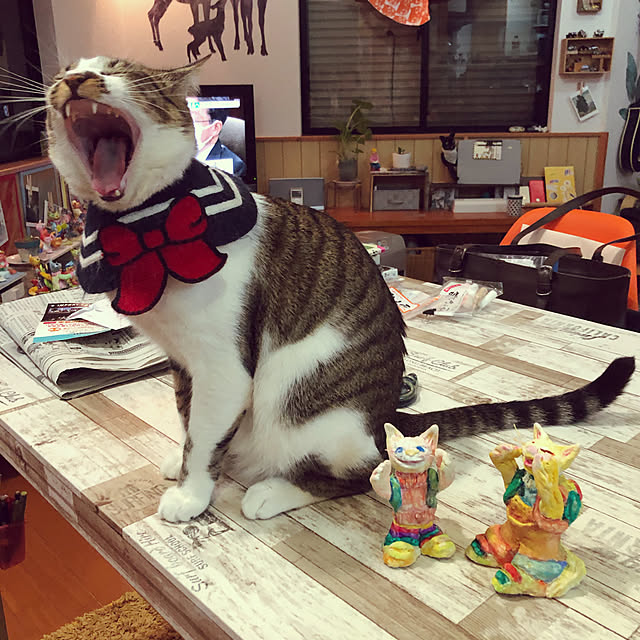 jijiさんの実例写真