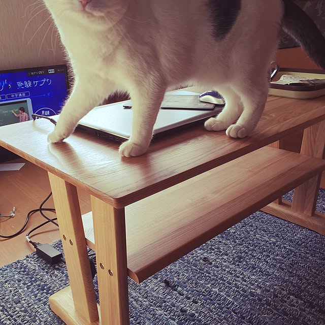 gadgetさんの実例写真