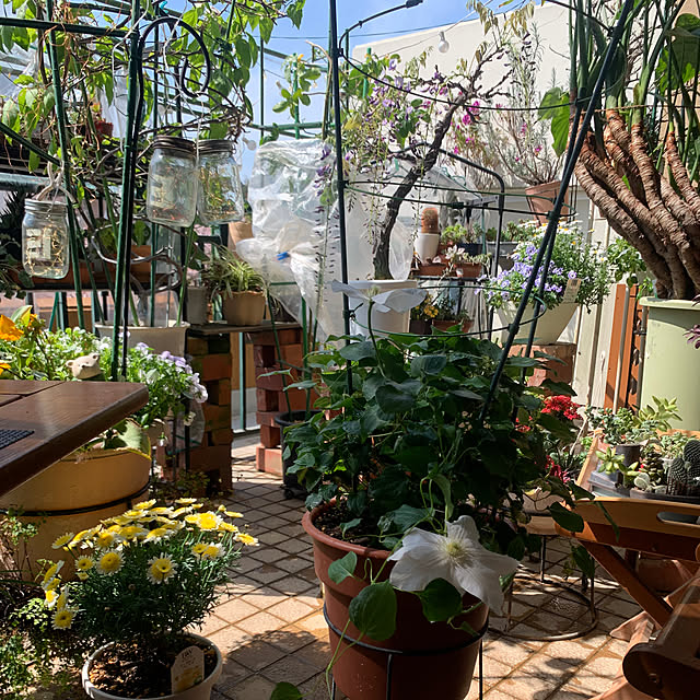 Aqettyさんの部屋