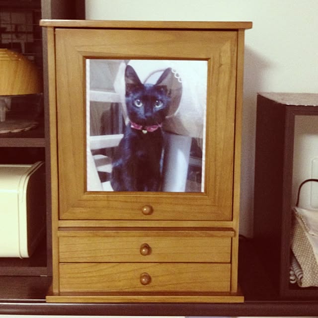 konatsuさんの実例写真