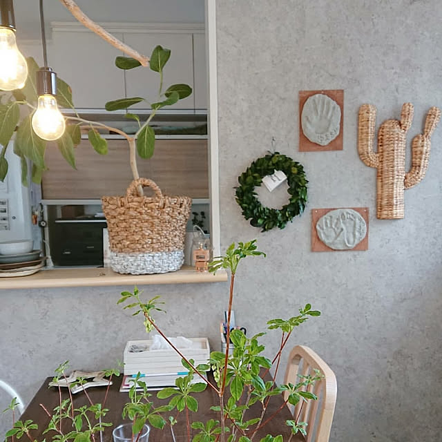 壁/天井/ナチュラルインテリア/ナチュラル/植物のある暮らし/ナチュラルモダン...などのインテリア実例 - 2019-05-31 08:37:16