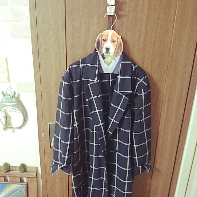 maaaiさんの実例写真