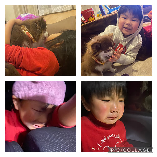 chIoeさんの実例写真