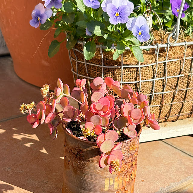 yukkoさんの実例写真