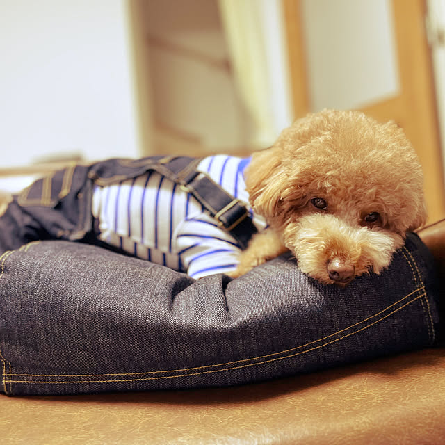nanさんの実例写真