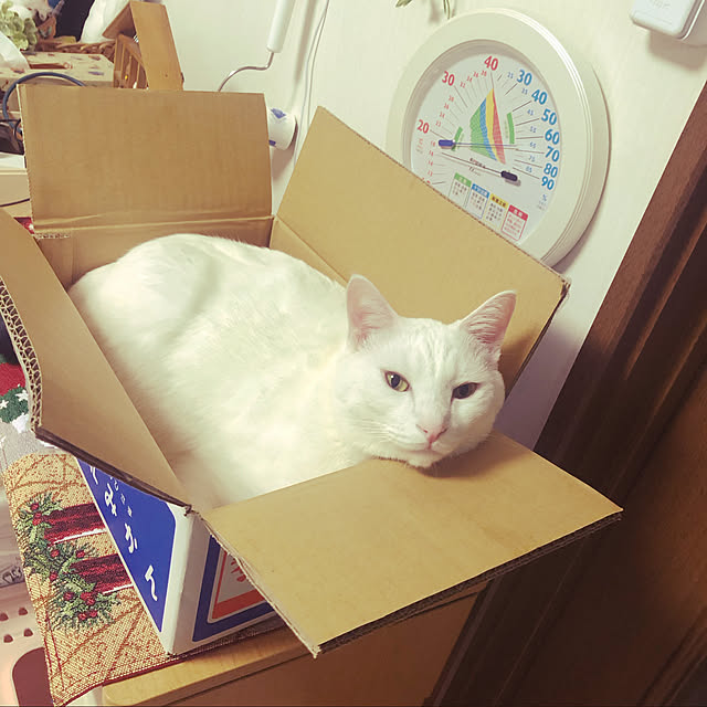moyuhiさんの実例写真
