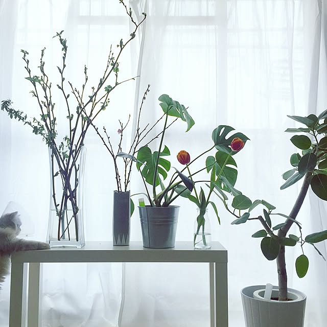 cocoさんの実例写真
