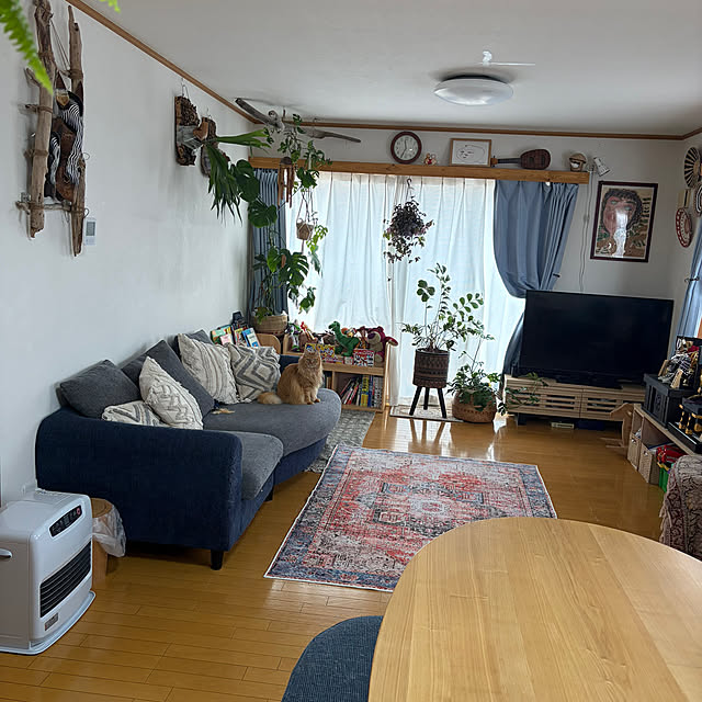 alohaさんの実例写真