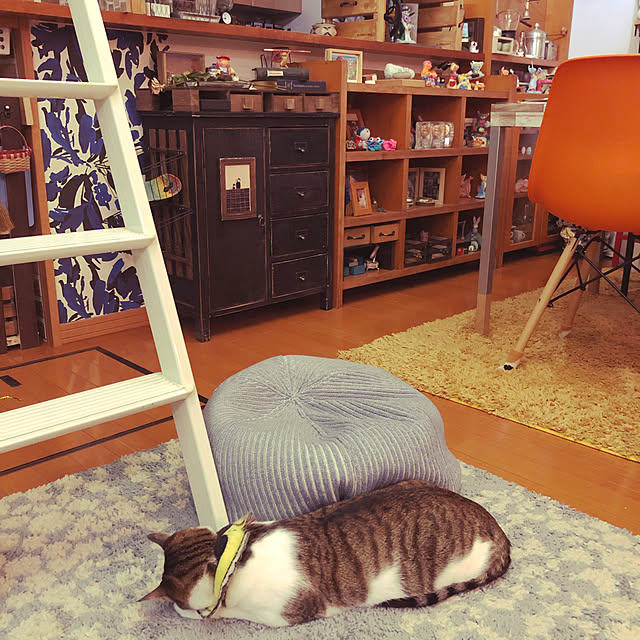 jijiさんの実例写真