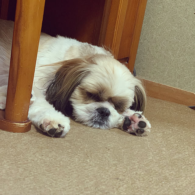 Yuさんの実例写真