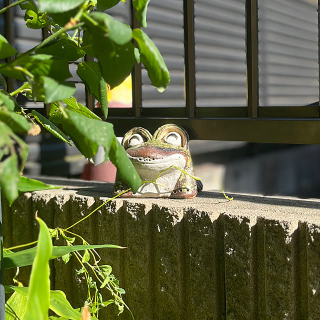 botanさんの部屋