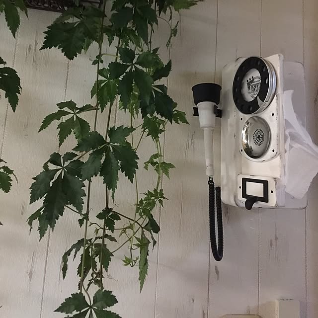 RURULOVEさんの実例写真