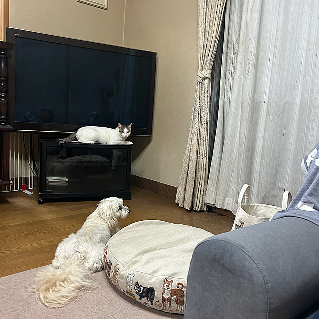 koti11さんの部屋