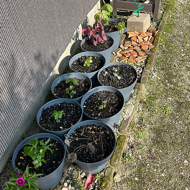 ritsukoさんの実例写真