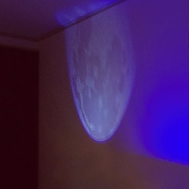nyankoseikoさんの実例写真