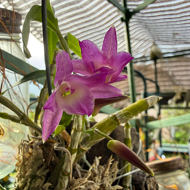 Aqettyさんの部屋