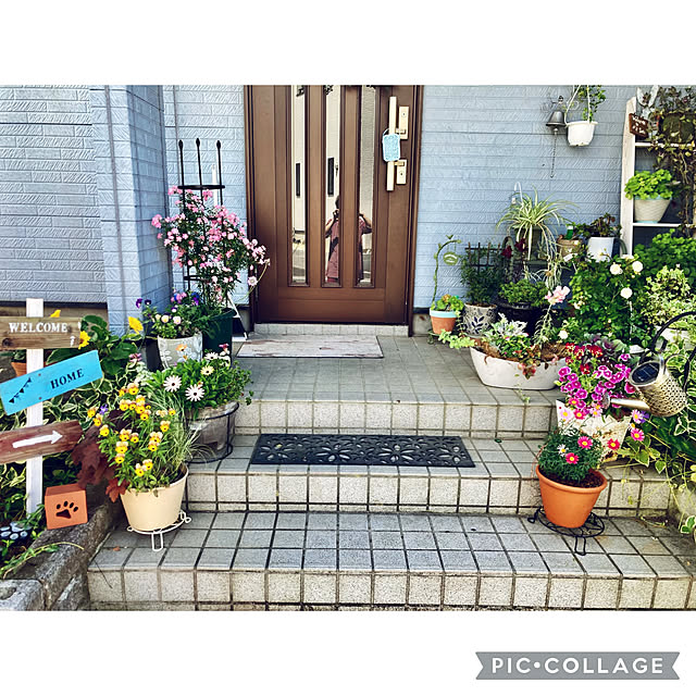 CoCo0617さんの実例写真