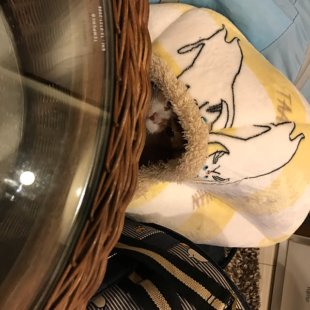 KotarouKunさんの実例写真