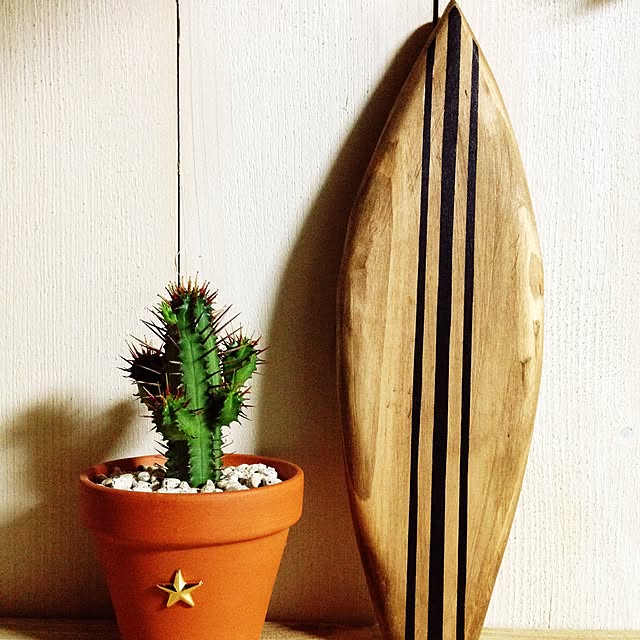 DRIFTWOOD213さんの実例写真