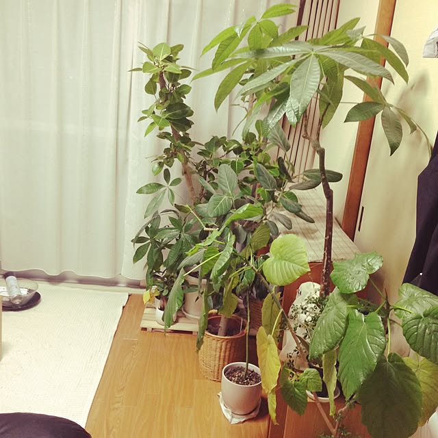kentaさんの実例写真