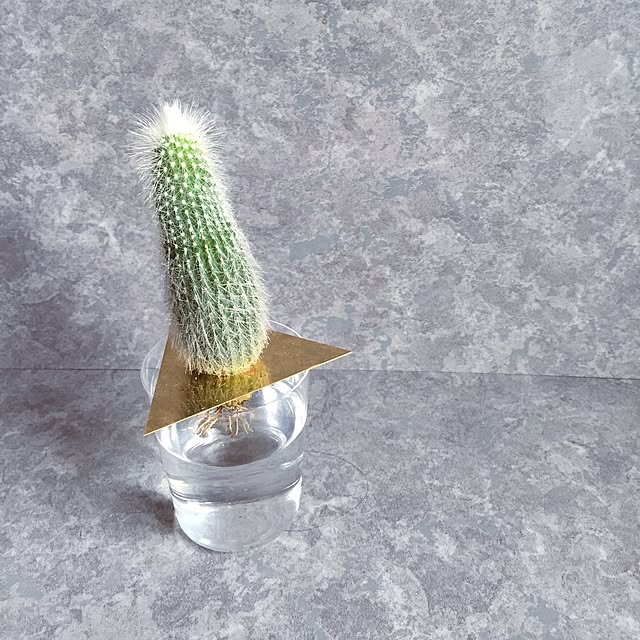 itsukaさんの実例写真