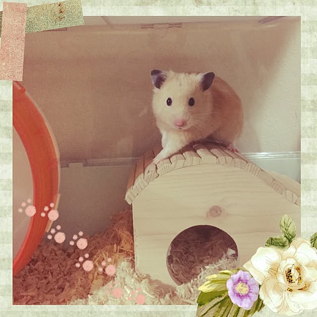 emiさんの実例写真